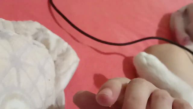 Моя кошка действительно очень смешно спит!😂😂😂😂 смотреть онлайн