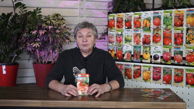 Это мои самые любимые томаты, которые я сажаю каждый год 🍅 смотреть онлайн