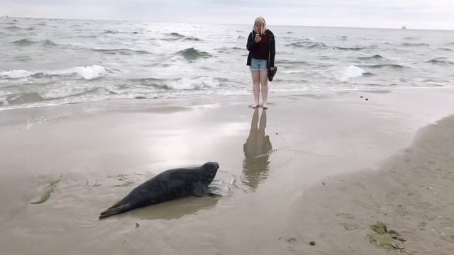A Visit to Skagen, Denmark | Top Attractions смотреть онлайн
