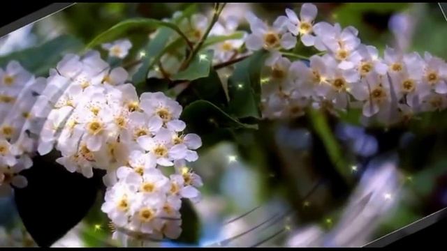 Нафкат Нигматуллин — Попурри из лучших песен!