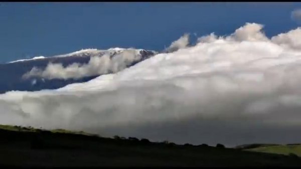 Stive Morgan - Dreamstation