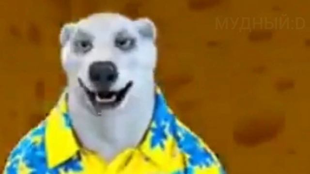 СРОЧНОЕ СООБЩЕНИЕ ОТ ХОДИЛКИ БРОДИЛКИ. Почему переносится конец света? смотреть онлайн