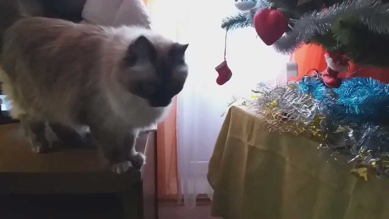 17 января 2024 г.