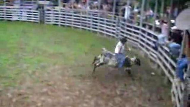 Бык на родео оказался хитрым смотреть онлайн