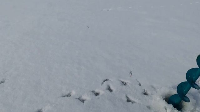 1 ноября 2016 р.Кондома смотреть онлайн