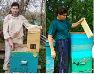 Пчелопакет от покупки до откачки меда 3 серия