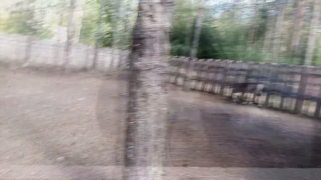 Петербург туристический. Пасторское озеро ч 2 смотреть онлайн