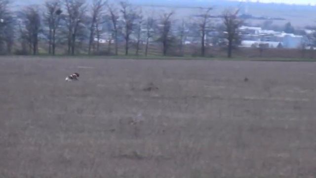 883 (9) Эпаньол Бретон 2 смотреть онлайн