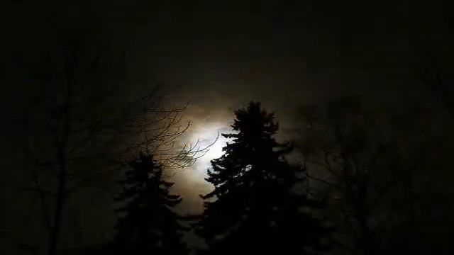 Beethoven: Sonata op 27 no 2:1 ("Moonlight") - PUBLIC DOMAIN - OWN RECORDING смотреть онлайн