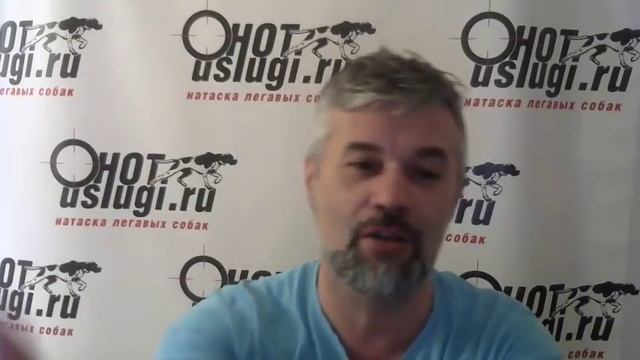 Как заниматься с собакой на прогулке. смотреть онлайн