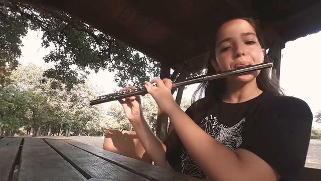 Kimler Geldi Kimler Geçti - Yan Flüt (flute)