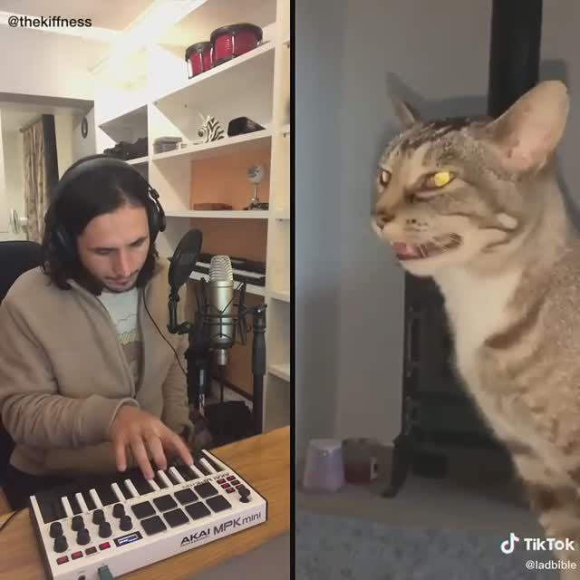 The Kiffness X Sneeze Cat - Blinding Sneeze (The Weeknd - Blinding Lights Cover)