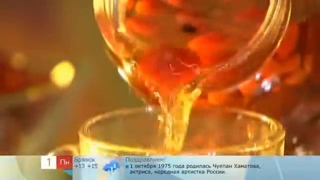 Шиповник, рябина и овес: польза для организма смотреть онлайн