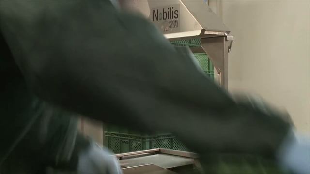 MSD Nobilis Spray Device смотреть онлайн