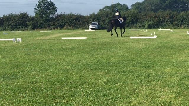 Beau dressage PC regional champs - 24.0 смотреть онлайн