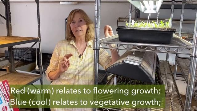 Using shop lights for indoor seed starting; LED vs fluorescent смотреть онлайн