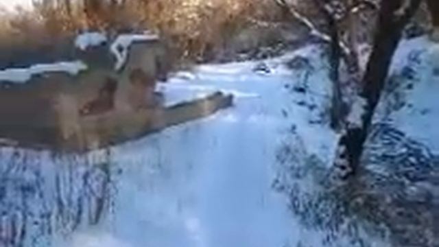 САМВЕЛА ОБВОРОВАЛИ В МАРШРУТКЕ. ИСТЕРИКА GRANDENIKO