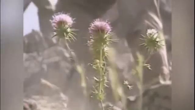 ЗА ВСЕХ РЕБЯТ ... смотреть онлайн