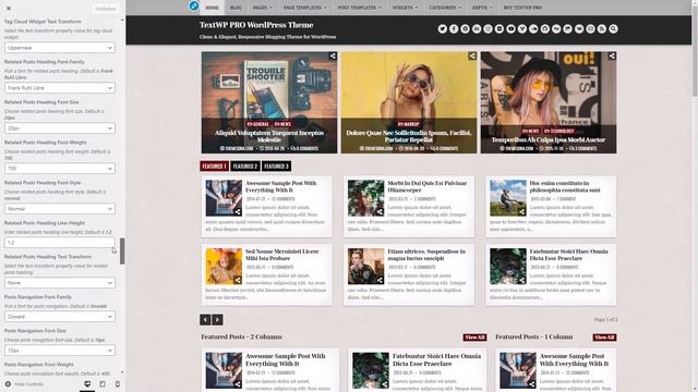 Font Options - TextWP PRO WordPress Theme смотреть онлайн