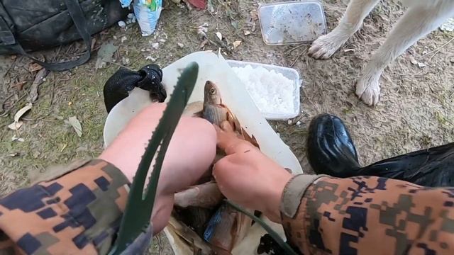 Горная рыбалка, Самый простой способ копчения Хариуса ?? смотреть онлайн