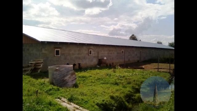 895. Дымово. Мини-птицеферма 521,5 кв.м. с участком 40 соток. смотреть онлайн