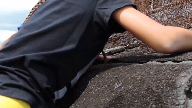 КоТЯта ))) Мои котЯта 😍😍😍 МиЛые КОтиКИ смотреть онлайн