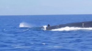 Всплытие и погружение подлодок.