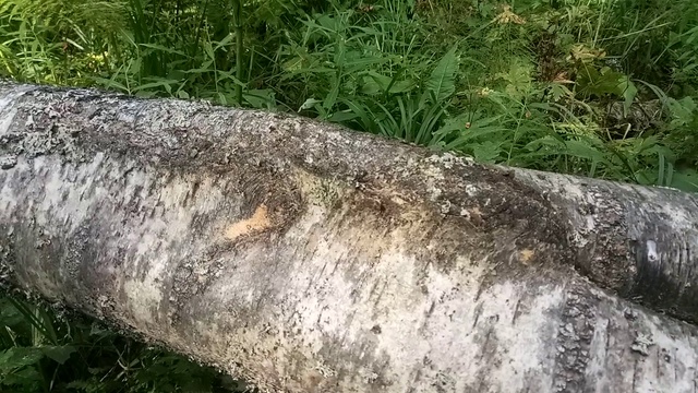 После такого - руку не жмут. смотреть онлайн