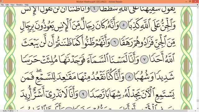 Practice reciting with correct tajweed - Page 572 (Surah Al-Jinn) смотреть онлайн