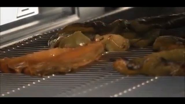 Печь конвейерная электрическая Synthesis Zanolli смотреть онлайн