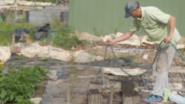 My Friends Georgina and Tom and Mikey in Garden смотреть онлайн