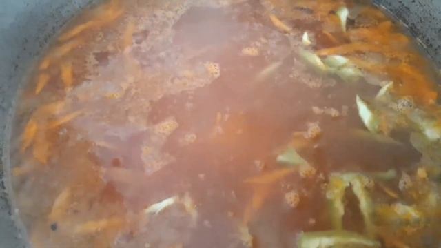 Наука о Животных и их Поведение