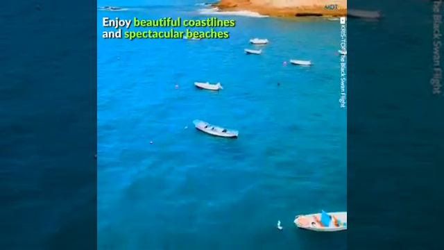 SIAM WATER PARK TENERIFE - найкращий аквапарк світу‼️ смотреть онлайн