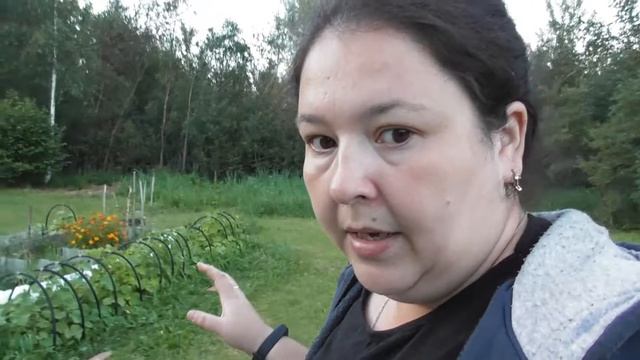 vlog последний раз ночуем на даче/посадила клубнику/семья даниловых смотреть онлайн