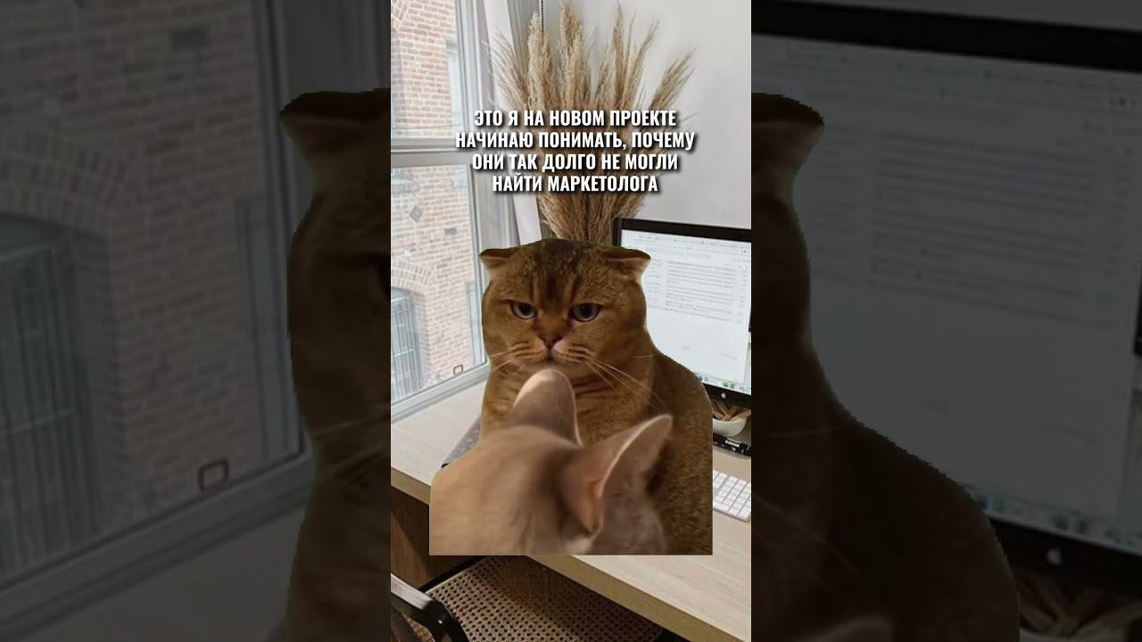 У какого счастливчика такого не было? #flyvideo #графическийдизайн #flyvi смотреть онлайн