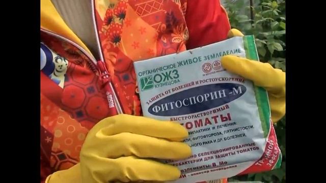 Фітоспорін-полюбився дачникам біологічний помічник в боротьбі з хворобами рослин смотреть онлайн