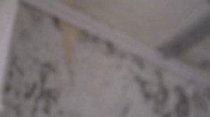 Пластиковые панели. Как обшить потолок пластиком ( подробное объяснение)