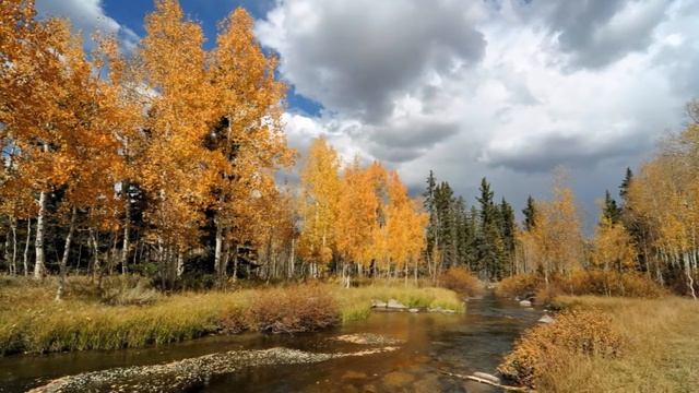 ЛЕДИ ОСЕНЬ смотреть онлайн