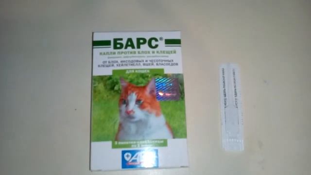 БАРС- от пухопероеда у кур. Кубеинка ( март 2019) смотреть онлайн