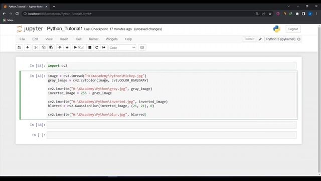 Convert Images Into Pencil Sketch Using Python | Python Project смотреть онлайн