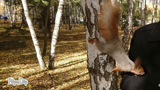 Shal-lena@yandex.ru w SwiftKey dd 😂 хочу сказать вам спасибо всем лю смотреть онлайн