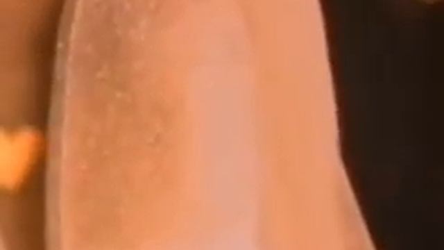женщина сотварена из ребра мужчины смотреть онлайн