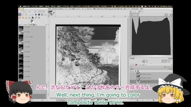 @190 Shooting in color on monochrome film モノクロフィルムでカラー撮影 смотреть онлайн