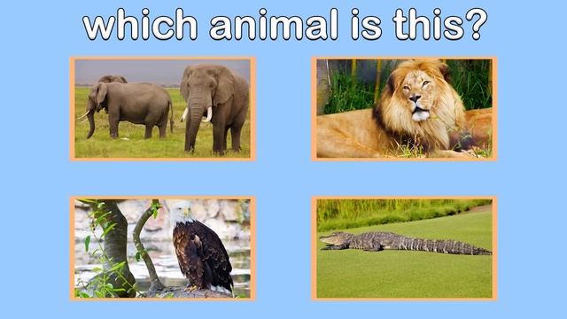Wild Animal Sounds | Fun Animals Guessing Game For Toddlers | Kids Learning Videos