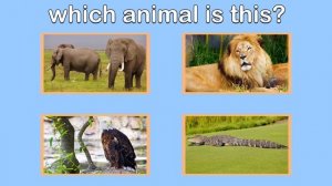 Wild Animal Sounds | Fun Animals Guessing Game for Toddlers | Kids Learning Videos