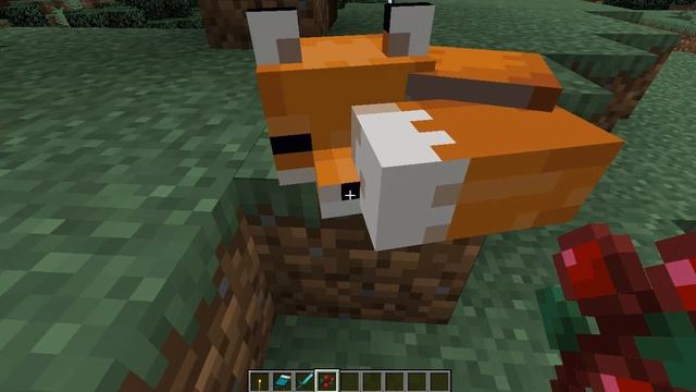 Minecraft music and Cute sleeping foxes смотреть онлайн