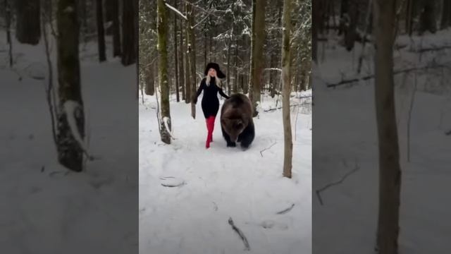 медведь смотреть онлайн