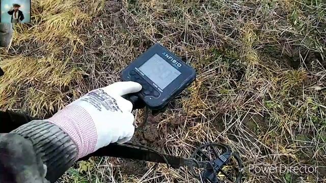 Nokta Anfibio Multi & Makro Multi Kruzer поиск в полях или приключения Турков в России