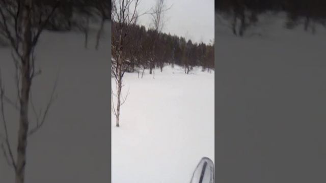 Тикси 250 смотреть онлайн