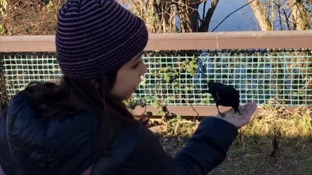 Vancouver Weather I Monthly Climate of Vancouver 2020 | Best City to Live in Canada смотреть онлайн